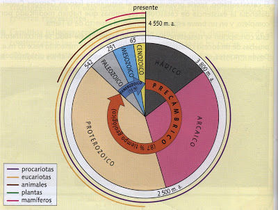 Eones, Eras, Etapas y Periodo de Evolución de la Tierra