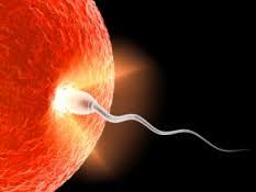 FORMACIÓN DE UNA NUEVA VIDA NACIMIENTO Y DESARROLLO FÍSICO EN LOS PRIMEROS TRES AÑOS