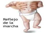 FORMACIÓN DE UNA NUEVA VIDA NACIMIENTO Y DESARROLLO FÍSICO EN LOS PRIMEROS TRES AÑOS