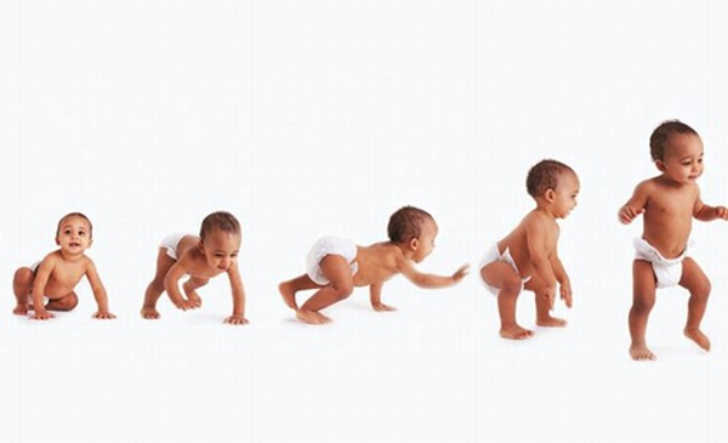 FORMACIÓN DE UNA NUEVA VIDA NACIMIENTO Y DESARROLLO FÍSICO EN LOS PRIMEROS TRES AÑOS