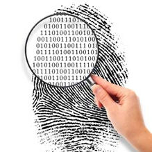 Técnicas de Investigaciones aplicadas a los delitos de Delincuencia Organizada.