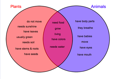 Differences between plant and animal cells