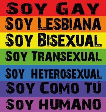 Principios De Accion Del Estado Para Trabajar La Salud Sexual Y Reproductiva