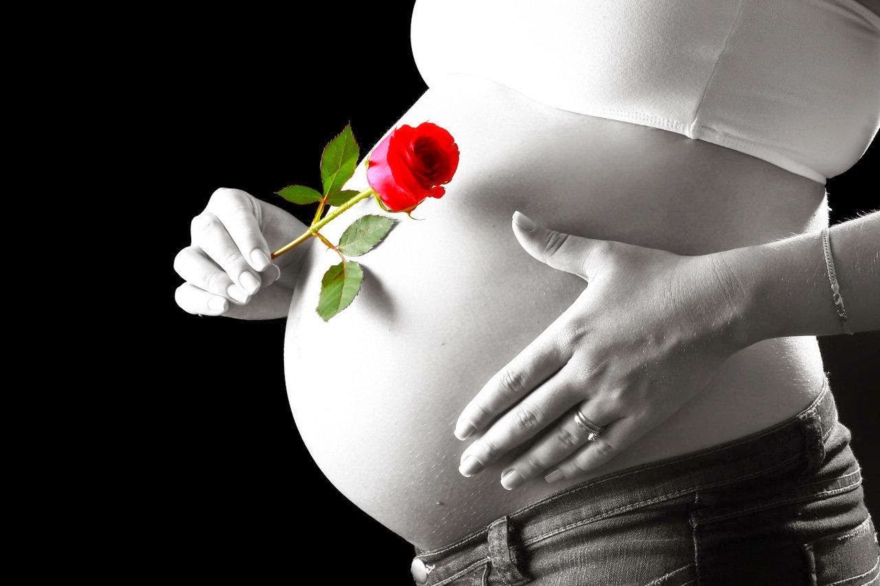 Principios De Accion Del Estado Para Trabajar La Salud Sexual Y Reproductiva