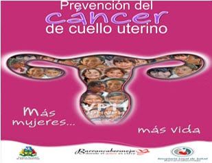 Politica nacional de sexualidad, derechos sexuales