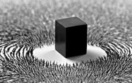 حقائق علمية