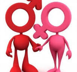 Principios De Accion Del Estado Para Trabajar La Salud Sexual Y Reproductiva