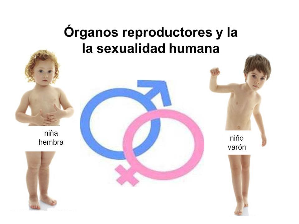 Principio de Acción Salud Sexual y Reproductiva