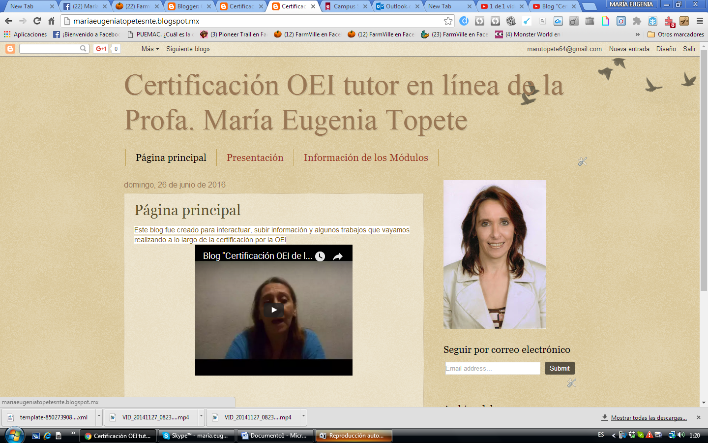 "Anatomía de mi PLE"