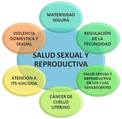 los principios del estado para trabajar la salud sexual y reproductiva