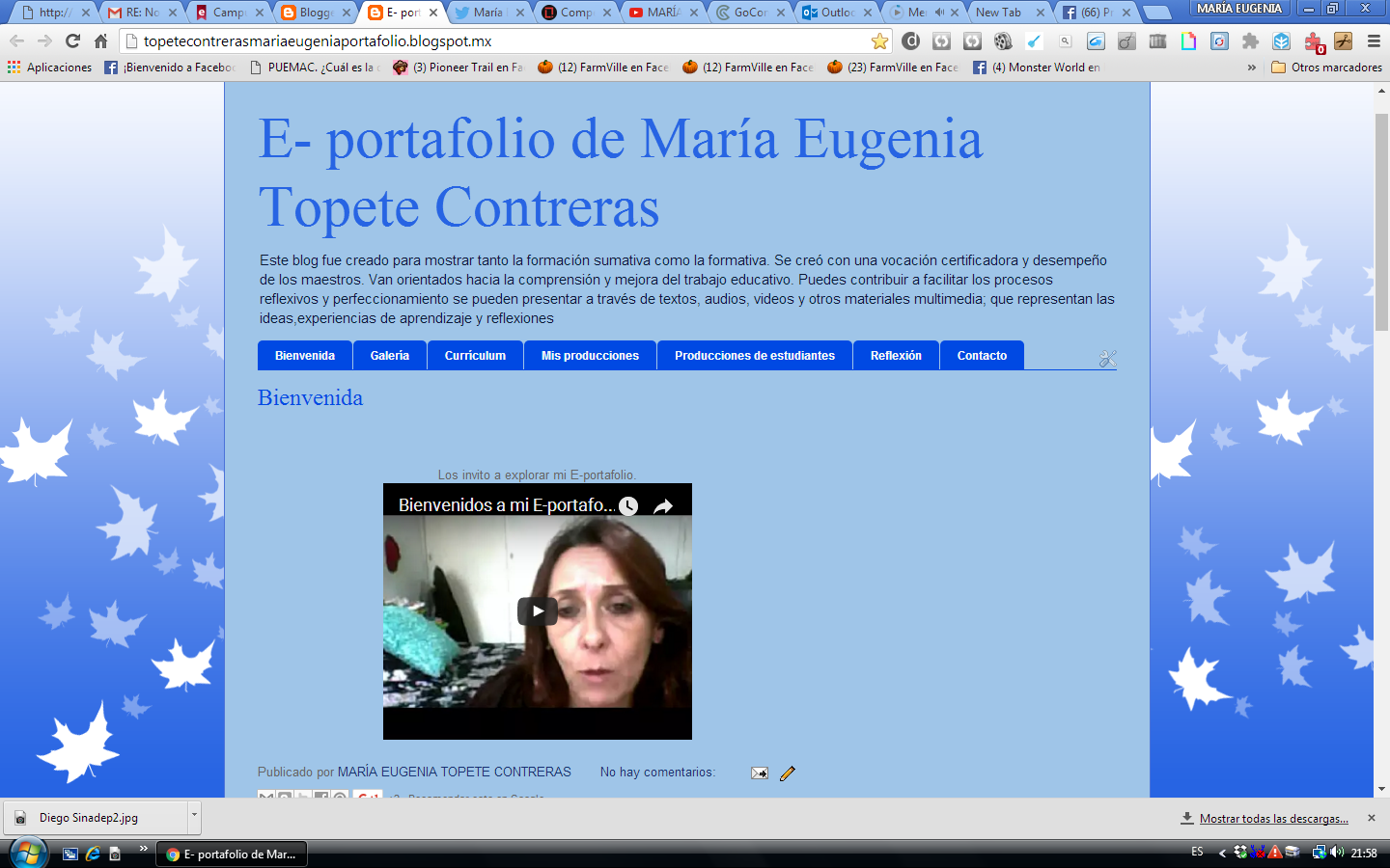 "Anatomía de mi PLE"