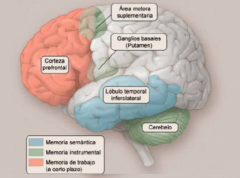 SUBSISTEMAS DE LA MEMORIA