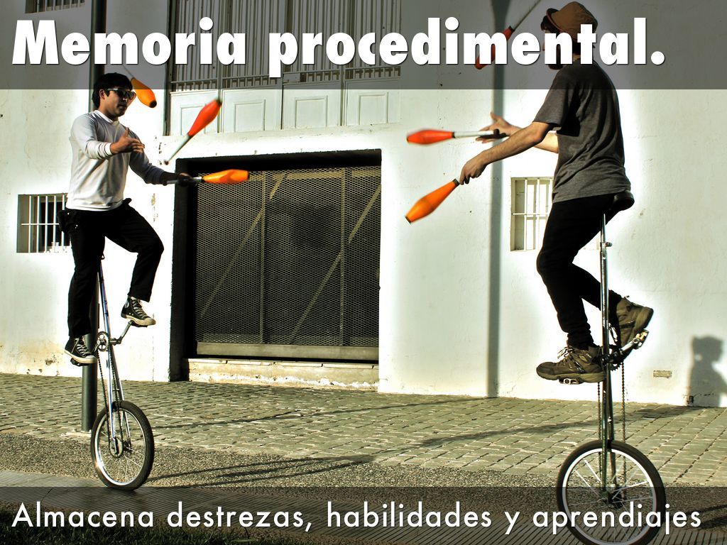 SUBSISTEMAS DE LA MEMORIA