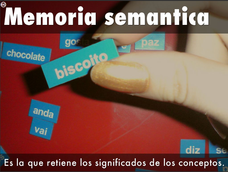 SUBSISTEMAS DE LA MEMORIA