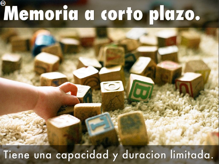SUBSISTEMAS DE LA MEMORIA