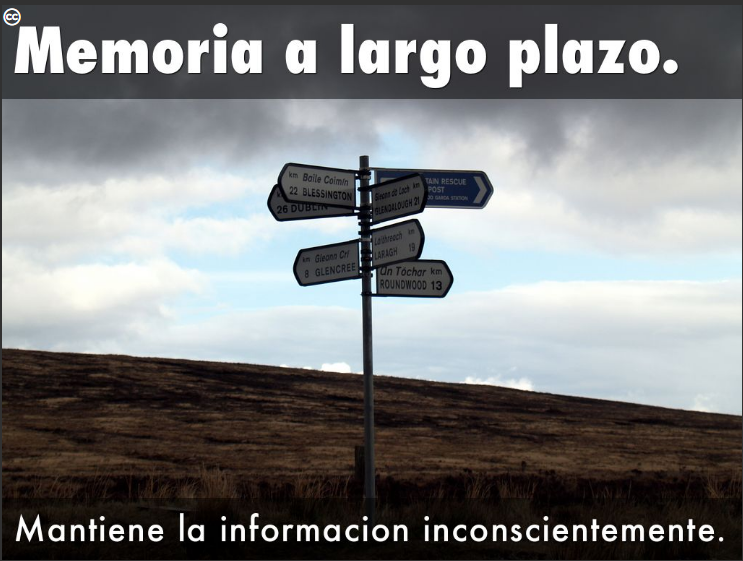 SUBSISTEMAS DE LA MEMORIA