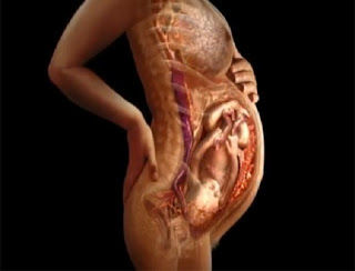 CAMBIOS HORMONALES DURANTE EL EMBARAZO