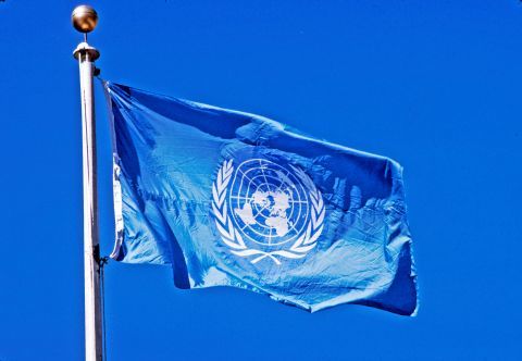 ORGANIZACIÓN DE LAS NACIONES UNIDAS ONU