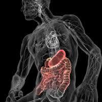 generalidades de anatomia y fisiologia