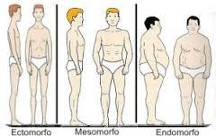 generalidades de anatomia y fisiologia