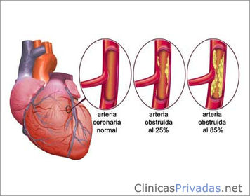 generalidades de anatomia y fisiologia