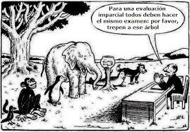 INNOVACIÓN EDUCATIVA Y APRENDIZAJE EN RED