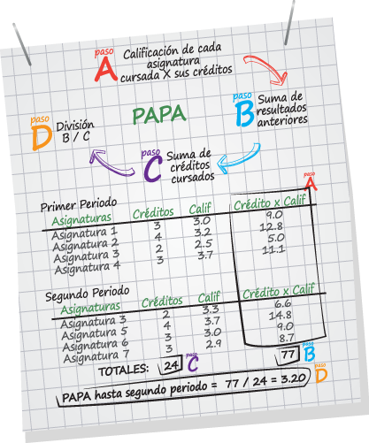 Rendimiento Académico P.A.P.A