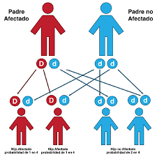Los Factores Que Influyen En El Crecimiento y Desarrollo