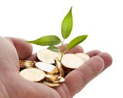 Componentes de un proyecto : niveles Prefactivilidad y Factibilidad
