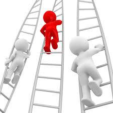Componentes de un proyecto : niveles Prefactivilidad y Factibilidad