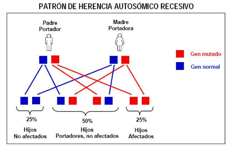 Xeroderma Pigmentoso