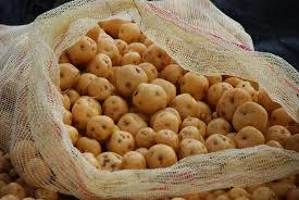 Los alimentos de mi
región Cundinamarca y su composicion
desde la Química orgánica