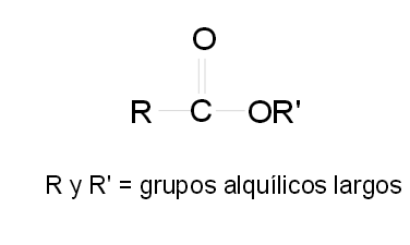 Los alimentos de mi región Cundinamarca y su composicion desde la Química orgánica