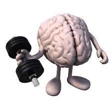 NEURODESARROLLO