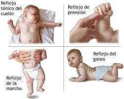 NEURODESARROLLO