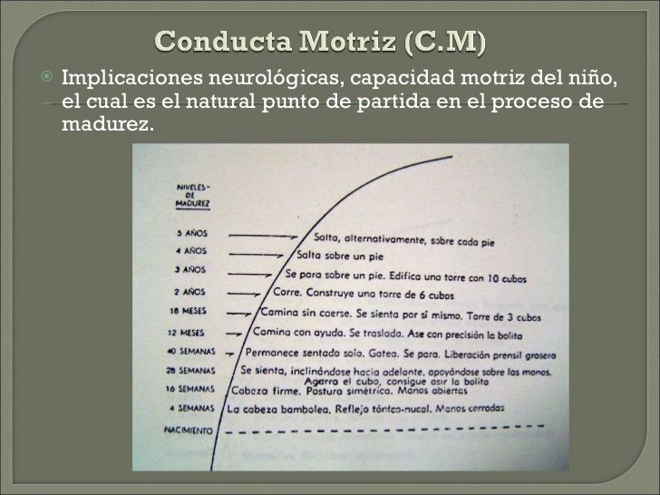 NEURODESARROLLO