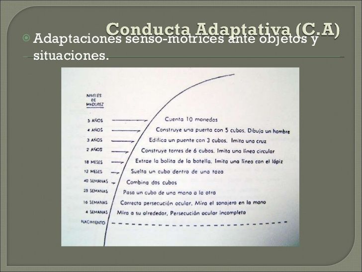 NEURODESARROLLO