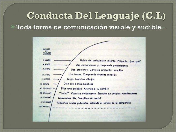 NEURODESARROLLO