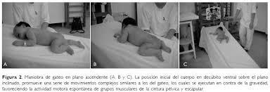 NEURODESARROLLO