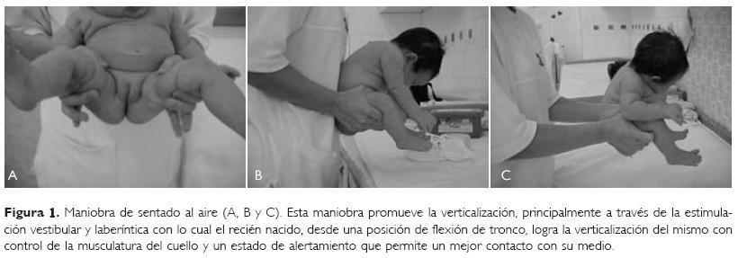 NEURODESARROLLO