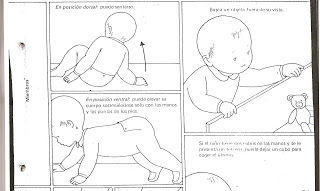 NEURODESARROLLO