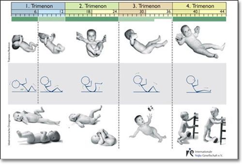 NEURODESARROLLO