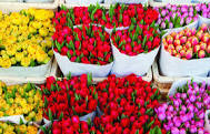 LA FLORICULTURA EN COLOMBIA Y EN EL MUNDO