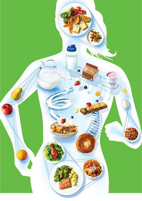POLÍTICA NACIONAL DE SEGURIDAD ALIMENTARIA Y NUTRICIONAL (PSAN)