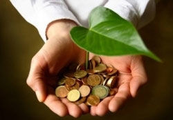 ECONOMIA AMBIENTAL