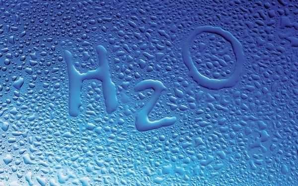 Niveles de organización biológica (biótica y abiótica)