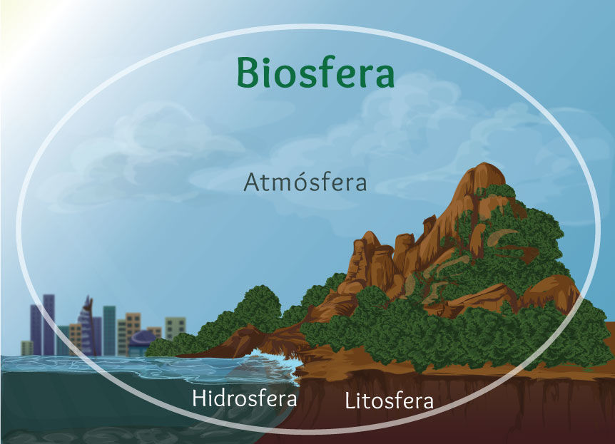 Niveles de organización biológica (biótica y abiótica)