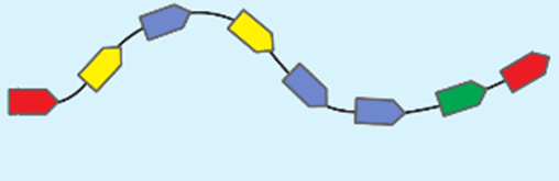 Enzymes and Respiration