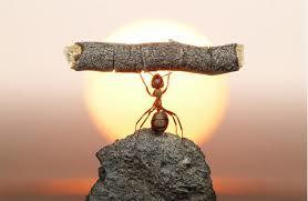 Resiliencia