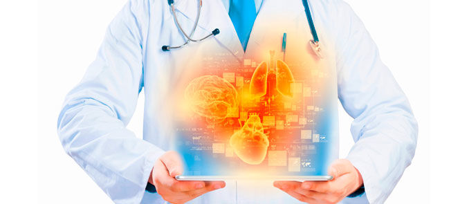 Áreas de SISTEMAS BIOMEDICOS